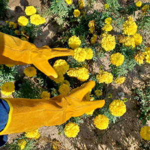 Yellow Leather Gauntlet Garden Gloves - image 1
