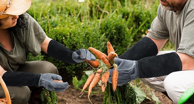 Long Sleeve Leather Rose Gardening Gloves - image 1
